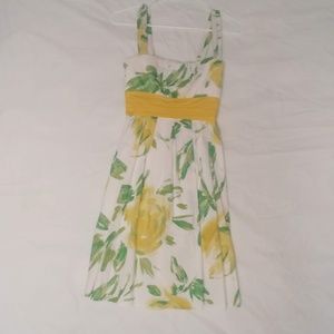 Cute Summer Dress